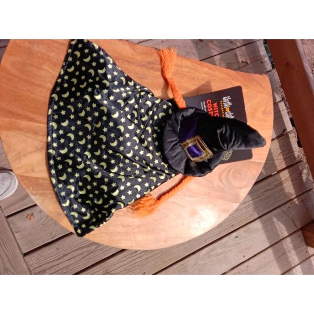 Witch costume for small animal